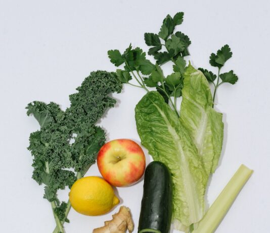 적절한 영양 섭취로 여행후 회복돕기 flat lay photography of vegetables