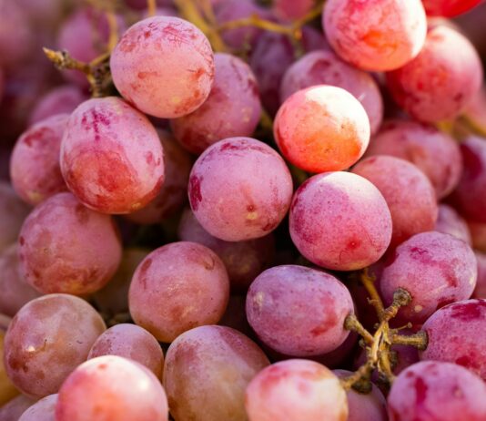 운동과 면역력 증진으로 건강한 신체 만들기 a bunch of grapes that are sitting on a table