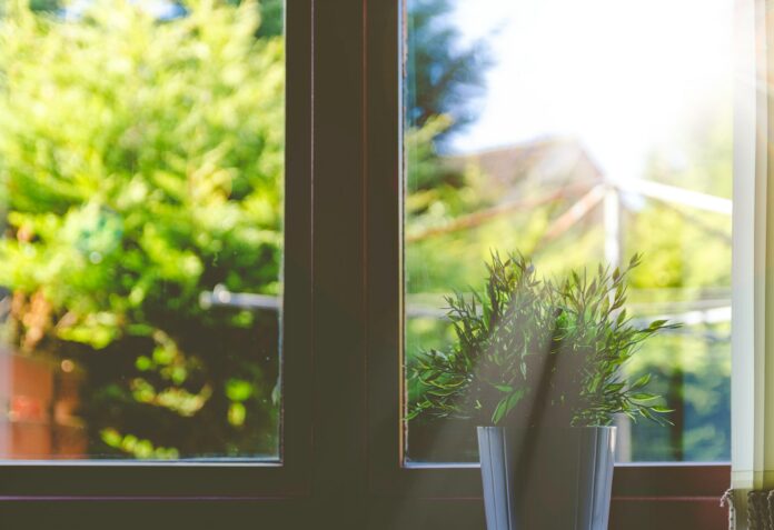 Photo by Adeolu Eletu green leafed plant in front of window in shallow focus photography