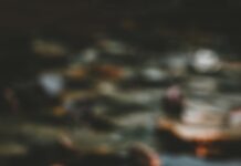 “마음도 챙기는 건강, ‘마음챙김 명상’이 생활 습관으로 자리잡다” pink and white lotus flower