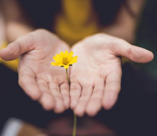 일상에 스며드는 대체요법, 건강을 위한 새로운 습관으로 자리매김 selective focus photography of woman holding yellow petaled flowers