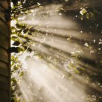 만성피로, 작은 습관 변화로 이겨내자…현대인 맞춤 실천 팁 sun rays coming through trees
