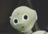 일상에 스며든 AI 건강 관리…작은 습관부터 실천이 열쇠 white robot toy holding black tablet